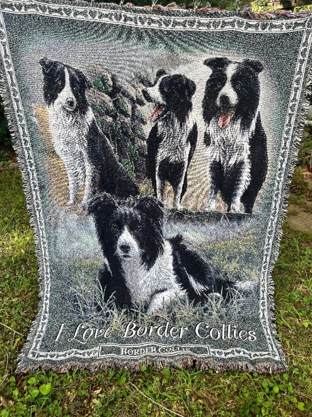 "I Love Border Collies" Danbury MInt cotton Throw Blanket